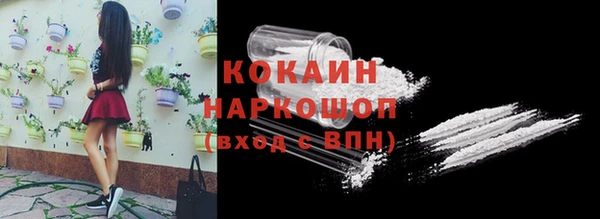 spice Алзамай