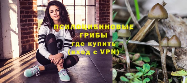 spice Алзамай