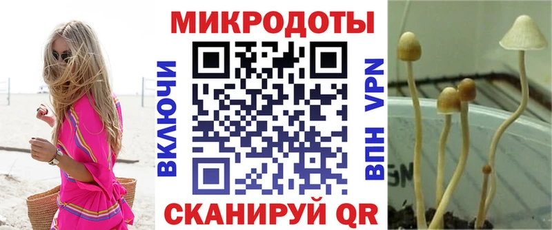 Галлюциногенные грибы Magic Shrooms  Тейково 
